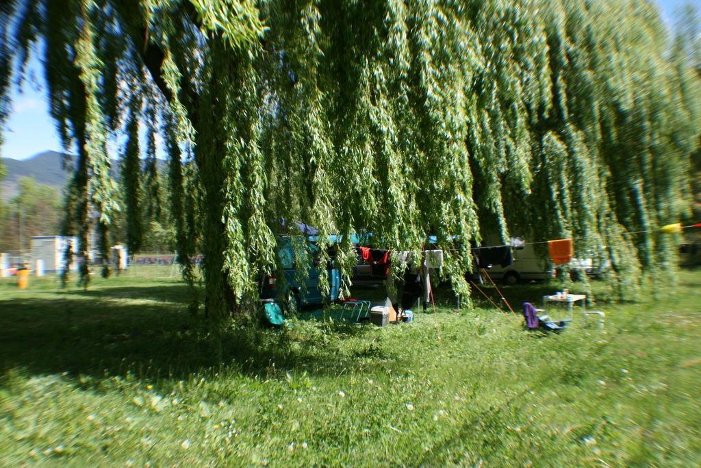 Alberg Escola De Piraguisme De Sort Exteriör bild